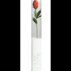 Emballage Alimentaire*CHOCOLATE WORLD Boites Transparentes pour Fleur en Chocolat x200