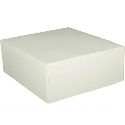 Emballage Alimentaire*CUISINEADDICT Boîte pâtissière blanche - 29 x H 5 cm - (x50)