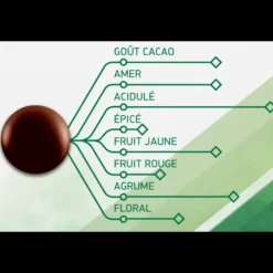 Chocolat De Couverture*BARRY Chocolat Noir Evocao 72% 2,5 kg