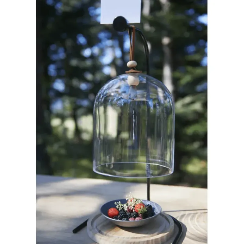 Présentoirs Pour Gâteaux*REVOL Cloche à Gâteau avec Socle en Chêne 20 cm Inspired by