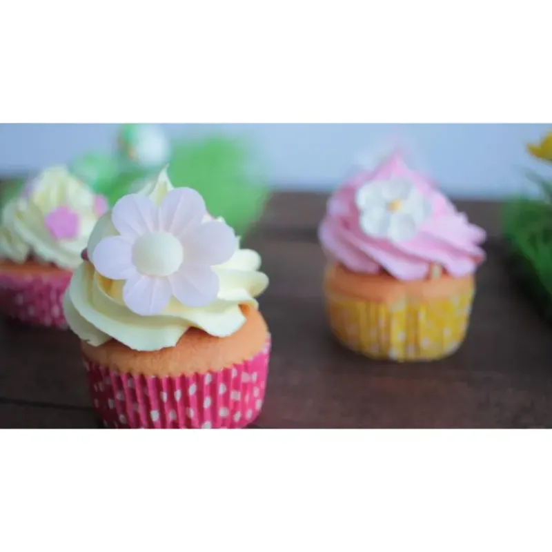 Colorants Alimentaires*SCRAPCOOKING Color'Arôme Jaune / Citron 10g