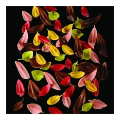 Ustensiles Chocolat*PAVONI Couteau Inox Plume 12 x 2,4 cm Flychoc