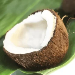 Produits Pâtisserie|Huiles*TERRE EXOTIQUE Huile de Coco 150 ml