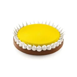 Moule Silicone|Moules À Gâteaux*SILIKOMART Kit Moule Silicone 1 Tarte Ø 230mm Professional