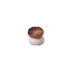 Décoration Comestible*FLORENSUC Mini Champignon en Sucre Beige 12 x 10 mm (x384)
