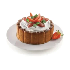 Moule Silicone*MALLARD FERRIERE Moule à Charlotte Silicone 180 mm x H 60 mm Silikomart