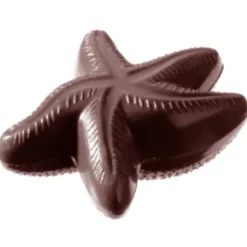 Moules À Chocolat*CHOCOLATE WORLD Moule à Chocolat Etoile de Mer (x2)