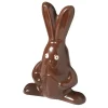 Moules À Chocolat*BARRY Moule à Chocolat Lapin 19 cm