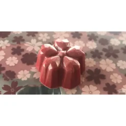 Moules À Chocolat*CHOCOLATE WORLD Moule Chocolat Fleur de Cerisier Sakura Kohei Ogata (x21)