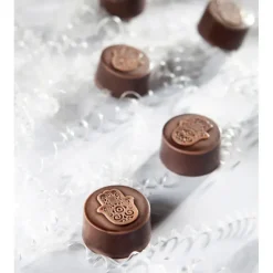 Moules À Chocolat*CHOCOLATE WORLD Moule Chocolat Main de Fatma (x21)