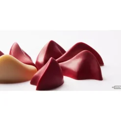 Moules À Chocolat*CHOCOLATE WORLD Moule Chocolat Pétale 45x31 mm (x21)