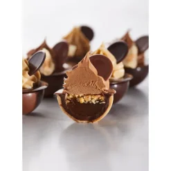 Moules À Chocolat*CHOCOLATE WORLD Moule Chocolat Sphère Aplatie 3 cm (x24)