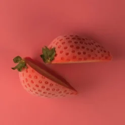 Moule Silicone|Moules À Gâteaux*SILIKOMART Moule Silicone 15 Mini Fraises 48 x 37 x H33 mm 30ml Professional