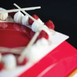 Moule Silicone*SILIKOMART Moule Silicone Carré Sphère 16x16 cm Grand Modèle Professional