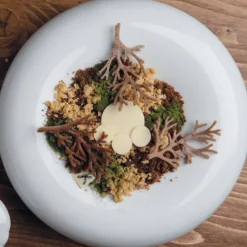 Moule Silicone*PAVONI Moule Silicone Gourmand Bois 7,8 x 4,8 x H 0,2 cm (x10)