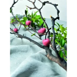 Moule Silicone*PAVONI Moule Silicone Gourmand Cerise Ø 2,6 x H 1,2 cm (x35)