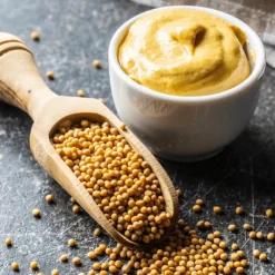 Fonds De Sauce - Sauces|Epices*TERRE EXOTIQUE Épices pour Moutarde Maison 80 g