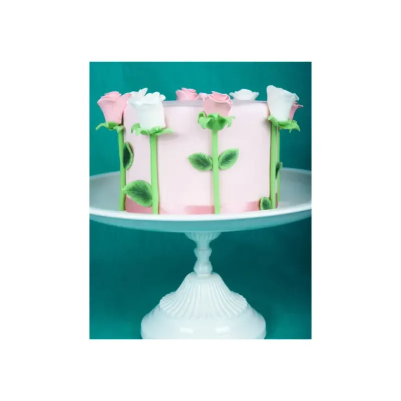 Colorants Alimentaires*FUNCAKES Poudre comestible Vert houx 1,2 g