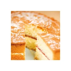 Produits Sans Gluten|Préparation Pâtisserie*FUNCAKES Préparation pour Sponge Cake Sans Gluten 500 g